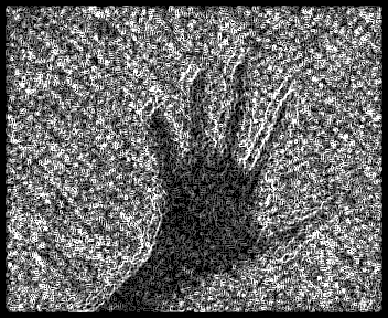 photomo005.gif